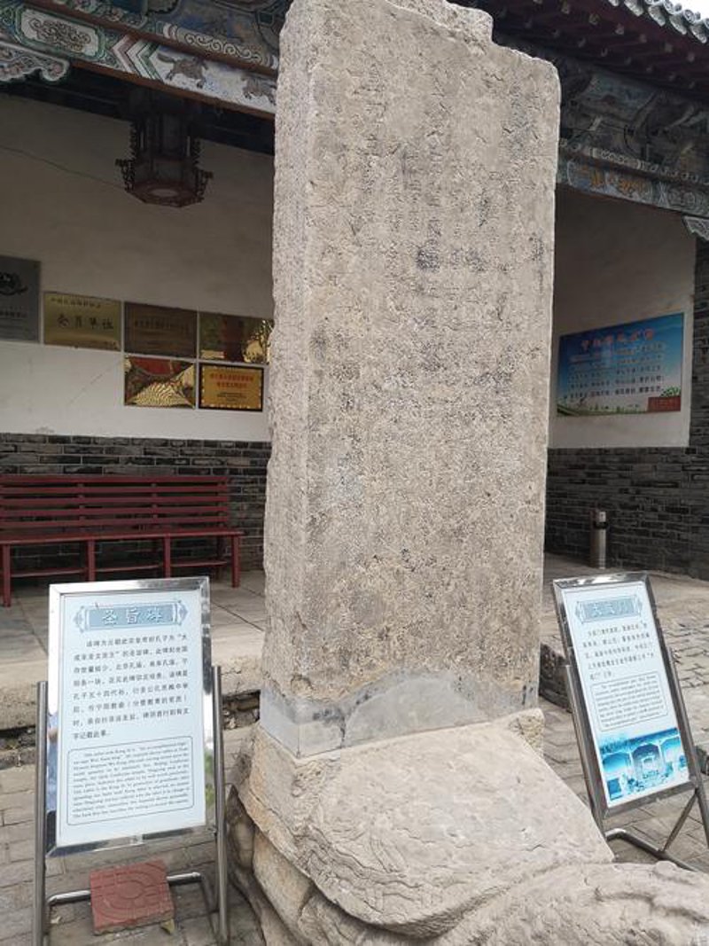 宁阳之旅：开启自然与文化的亲密接触