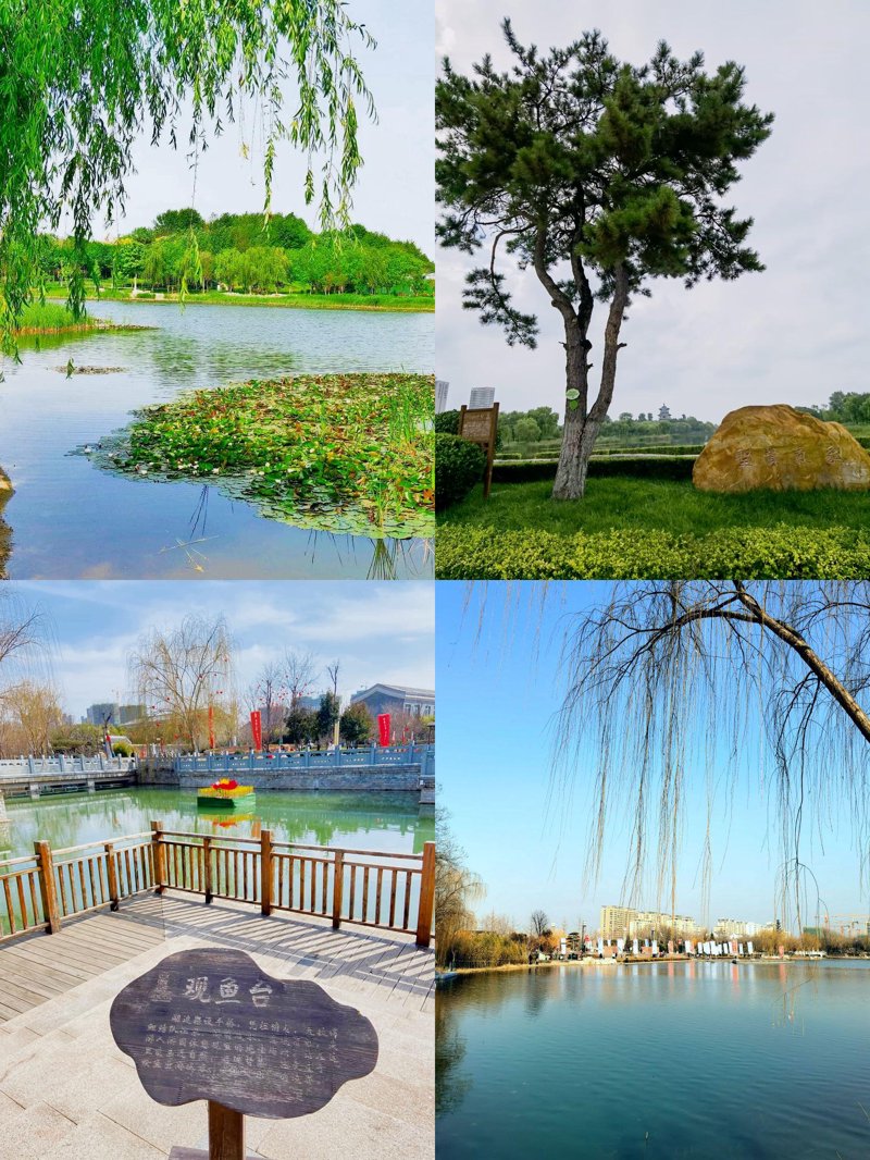 宁阳县旅游：探秘自然与文化的交织之美
