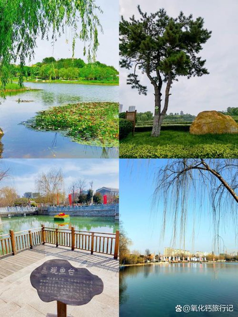 宁阳旅游网